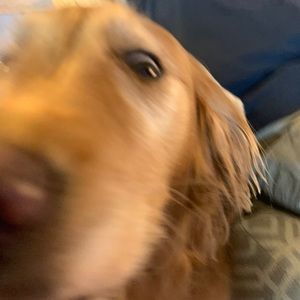 Meet your Posher, Connor